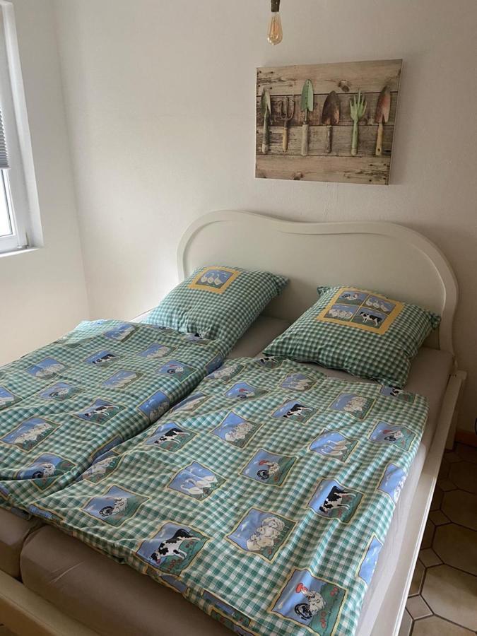 Wittingen Ferienwohnung Am Gruenen Band, Gretchen מראה חיצוני תמונה